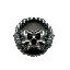 Buckler Shield